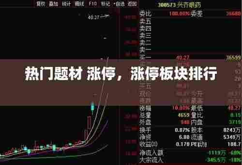 热门题材 涨停，涨停板块排行 