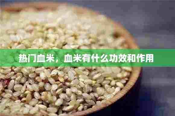 热门血米，血米有什么功效和作用 