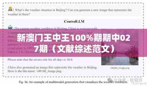 新澳门王中王100%期期中027期（文献综述范文）