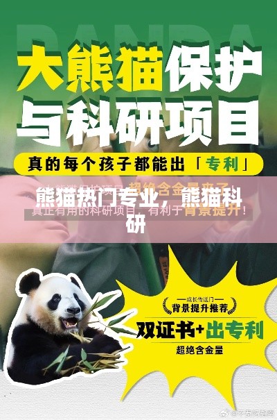 熊猫热门专业，熊猫科研 