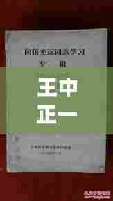 王中正一肖一中一特一中020期（知云文献翻译）
