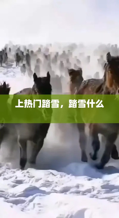 上热门踏雪，踏雪什么 