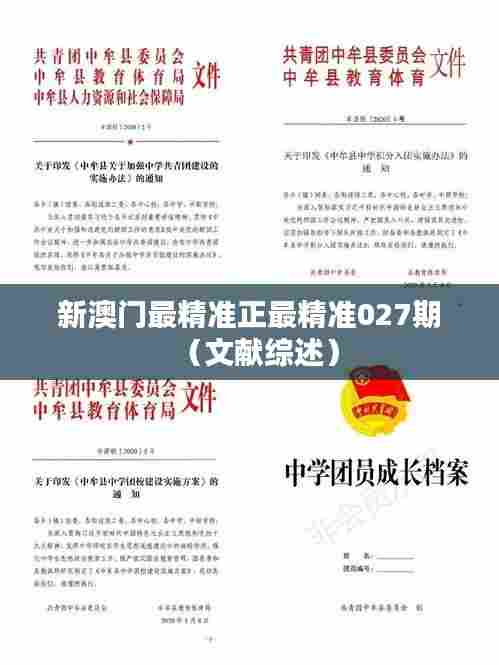新澳门最精准正最精准027期（文献综述）