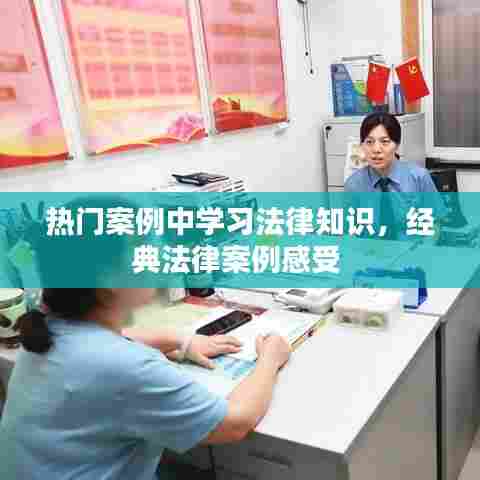 热门案例中学习法律知识，经典法律案例感受 