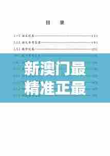 新澳门最精准正最精准022期(毕业论文参考文献)