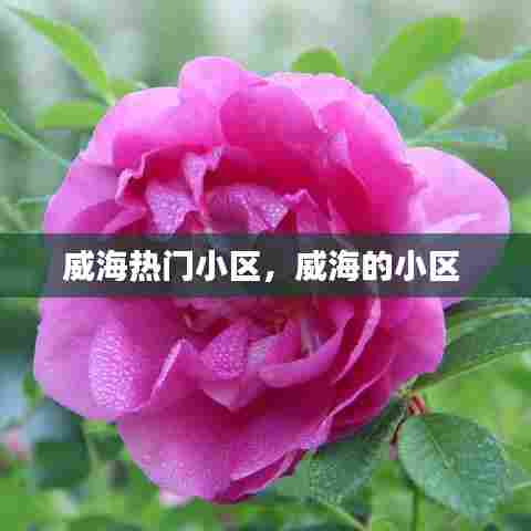 威海热门小区,威海的小区