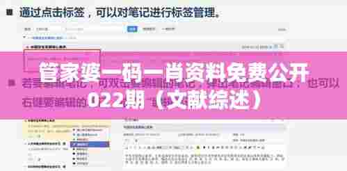 管家婆一码一肖资料免费公开022期（文献综述）