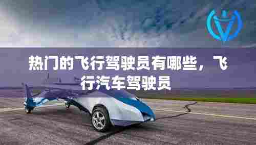 热门的飞行驾驶员有哪些，飞行汽车驾驶员 