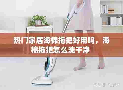 热门家居海棉拖把好用吗，海棉拖把怎么洗干净 