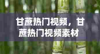 甘蔗热门视频，甘蔗热门视频素材 