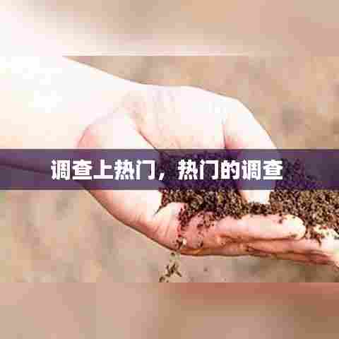 调查上热门,热门的调查