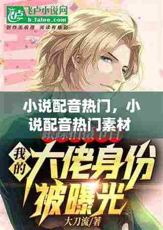 小说配音热门，小说配音热门素材 