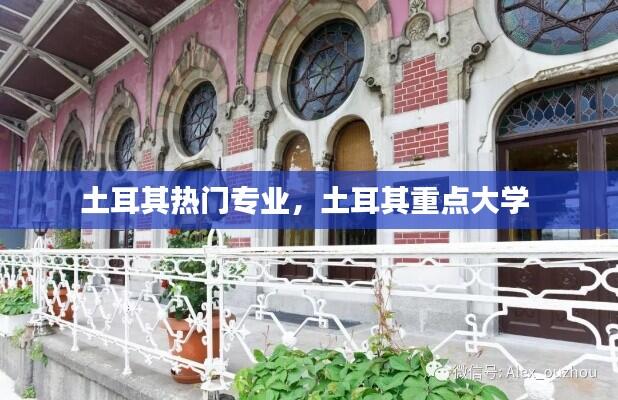 土耳其热门专业，土耳其重点大学 