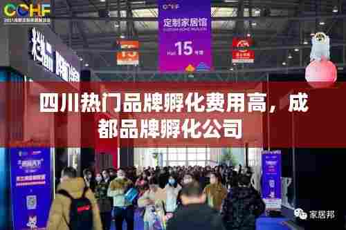 四川热门品牌孵化费用高，成都品牌孵化公司 