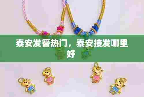 泰安发簪热门,泰安接发哪里好