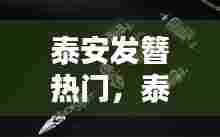 泰安发簪热门,泰安接发哪里好