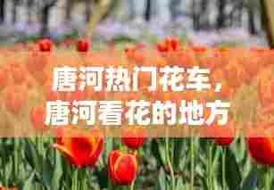 唐河热门花车，唐河看花的地方 