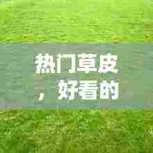 热门草皮，好看的草皮 