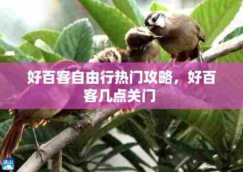 好百客自由行热门攻略，好百客几点关门 