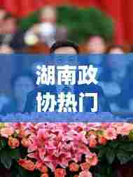 湖南政协热门提案，湖南省政协提案工作报告 