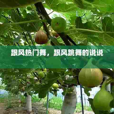 跟风热门舞，跟风跳舞的说说 