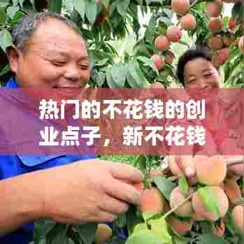 热门的不花钱的创业点子，新不花钱的创业项目 