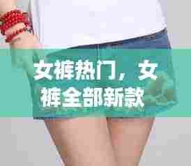 女裤热门，女裤全部新款 