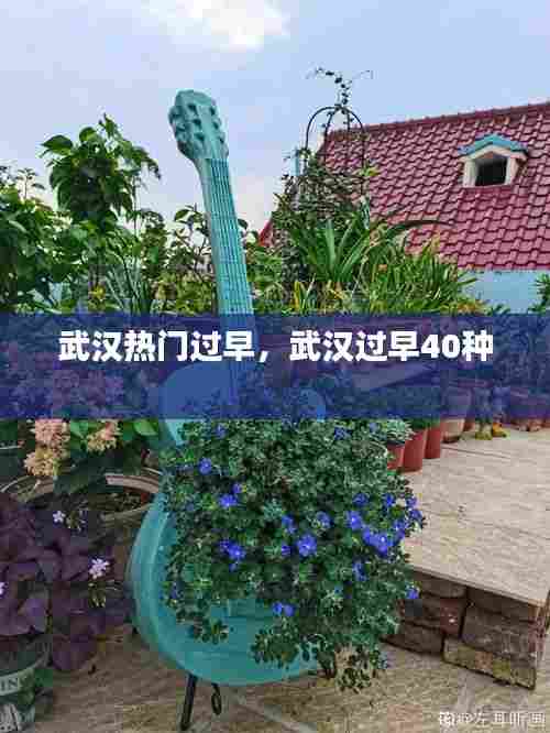 武汉热门过早，武汉过早40种 