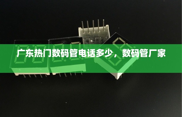 广东热门数码管电话多少，数码管厂家 