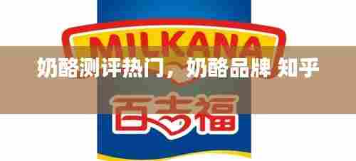 奶酪测评热门,奶酪品牌 知乎