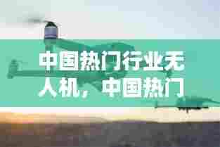 中国热门行业无人机，中国热门行业无人机有哪些 