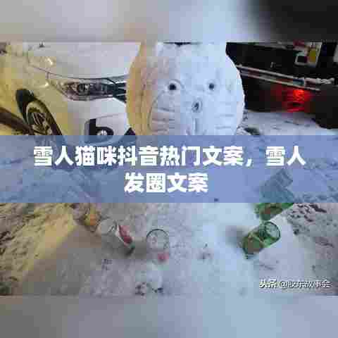 雪人猫咪抖音热门文案，雪人发圈文案 
