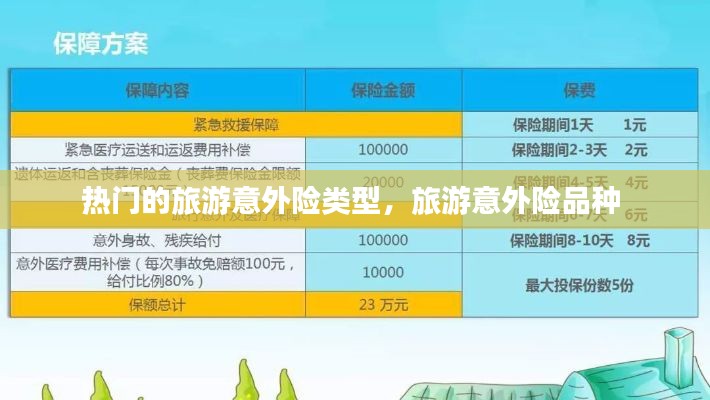 热门的旅游意外险类型，旅游意外险品种 
