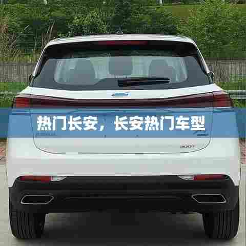热门长安，长安热门车型 
