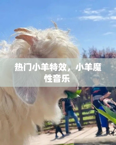 热门小羊特效，小羊魔性音乐 