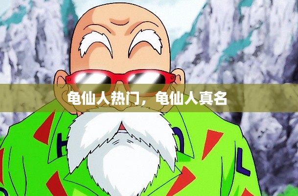 龟仙人热门，龟仙人真名 