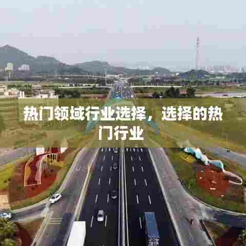 热门领域行业选择，选择的热门行业 