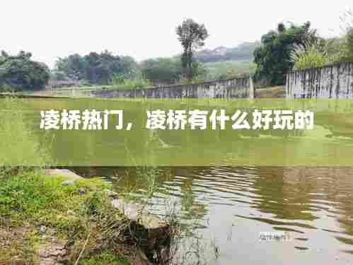 凌桥热门,凌桥有什么好玩的