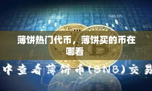 薄饼热门代币，薄饼买的币在哪看 