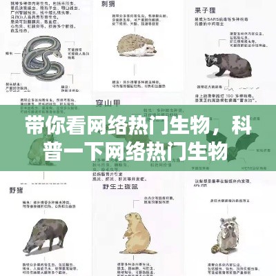 带你看网络热门生物，科普一下网络热门生物 