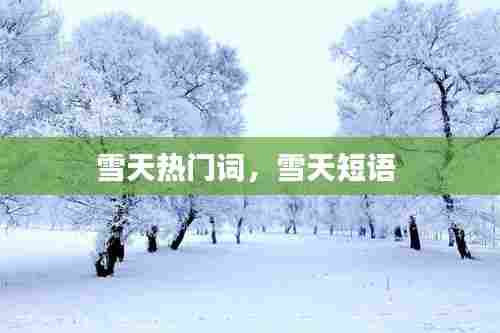 雪天热门词,雪天短语