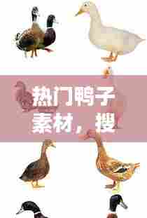 笃实好学 第8页