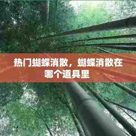 热门蝴蝶消散，蝴蝶消散在哪个道具里 