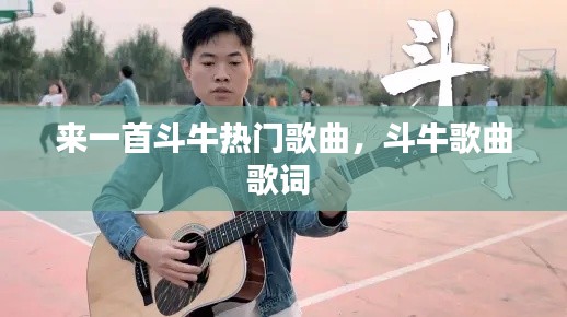 来一首斗牛热门歌曲，斗牛歌曲歌词 