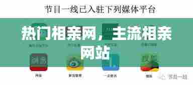 热门相亲网，主流相亲网站 