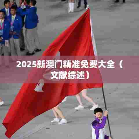 2025新澳门精准免费大全（文献综述）