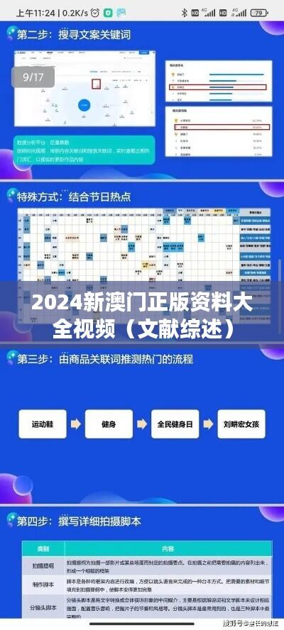 2024新澳门正版资料大全视频（文献综述）