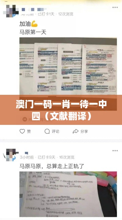 澳门一码一肖一待一中四（文献翻译）