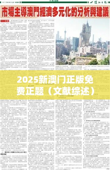 2025新澳门正版免费正题（文献综述）