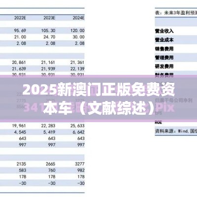 2025新澳门正版免费资本车（文献综述）